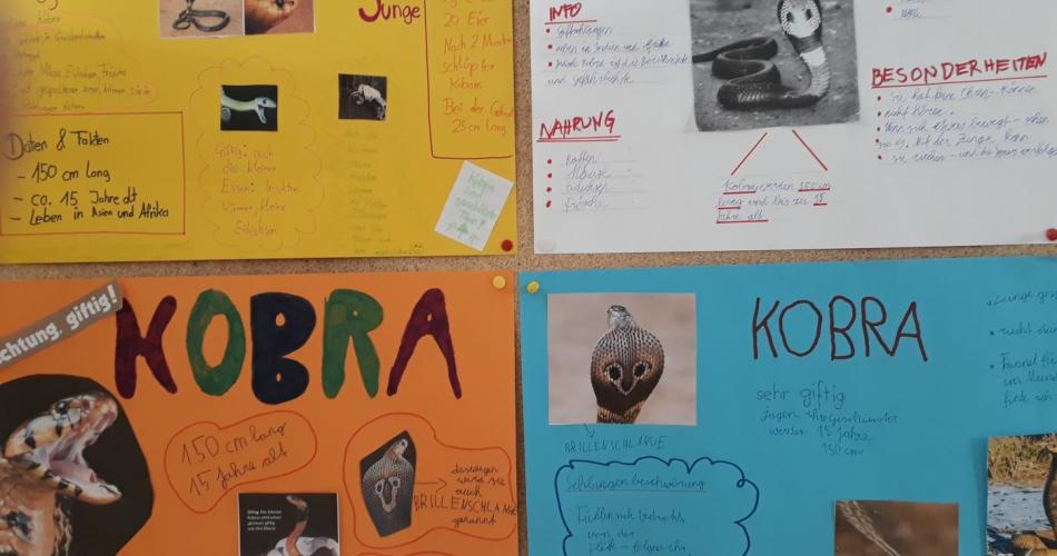 Kobra - Plakate Sachunterricht