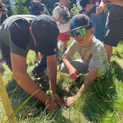 wald14