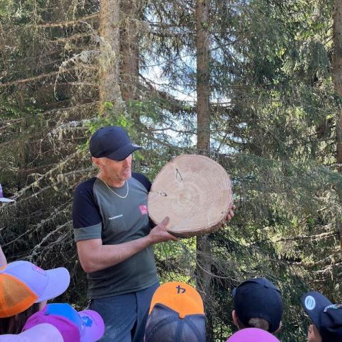 wald20