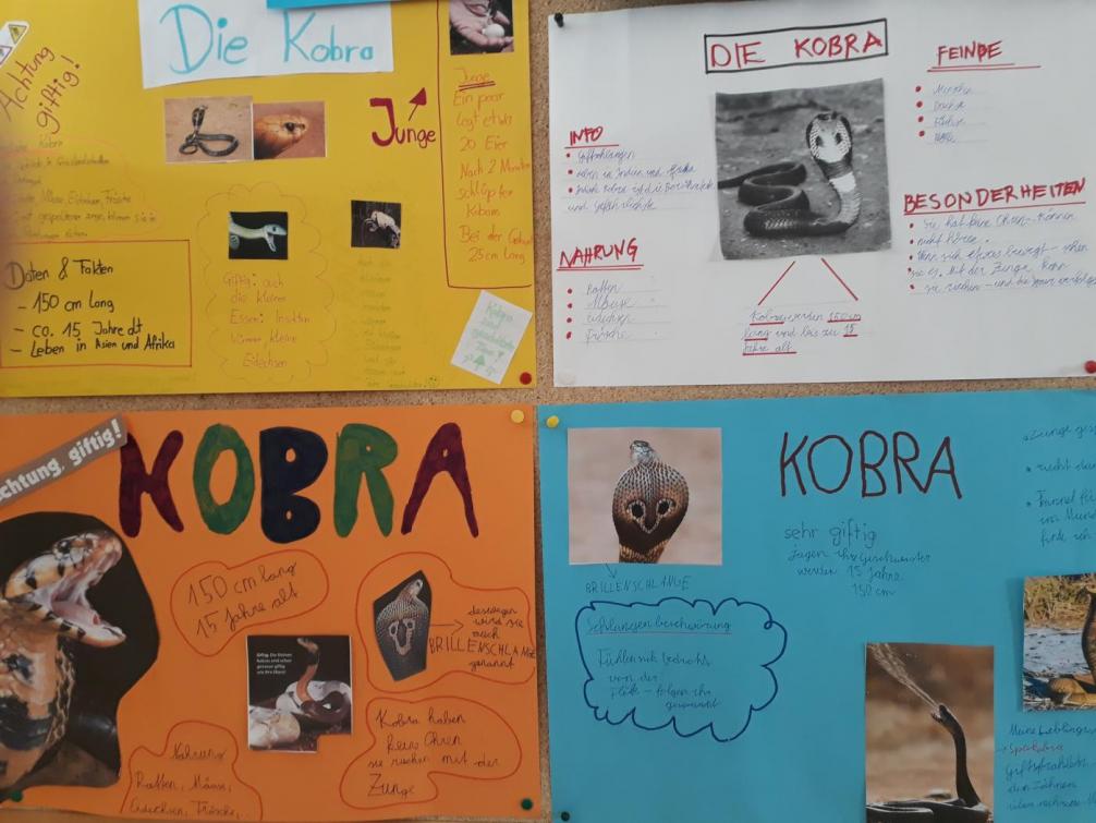 Kobra - Plakate Sachunterricht