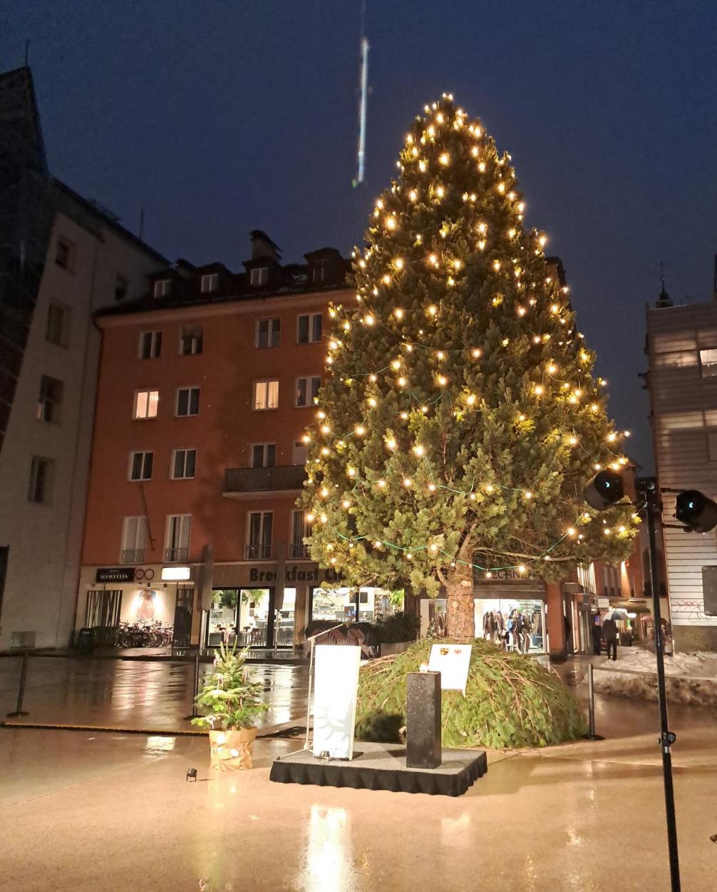 Fisser Christbaum